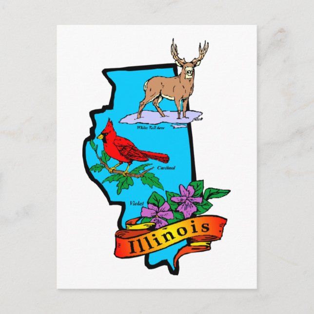 State of Illinios Gifts and Tees Postcard (Front)