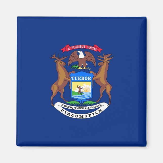 State of Michigan Flag Magnet (Front)