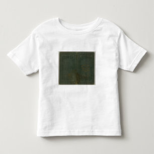 State of New York by DH Burr 2 Toddler T-shirt