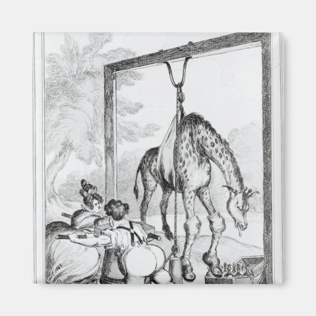 State of the Giraffe, 1829 Magnet (Front)