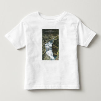 State Park View of Diamond Falls Toddler T-shirt