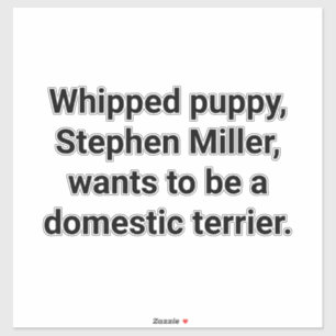 State Terrier Stephen Miller Hankamer Artjunkhaus