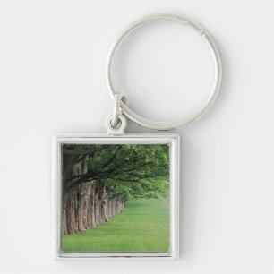 Stately row of trees, Louisville, Kentucky. Keychain