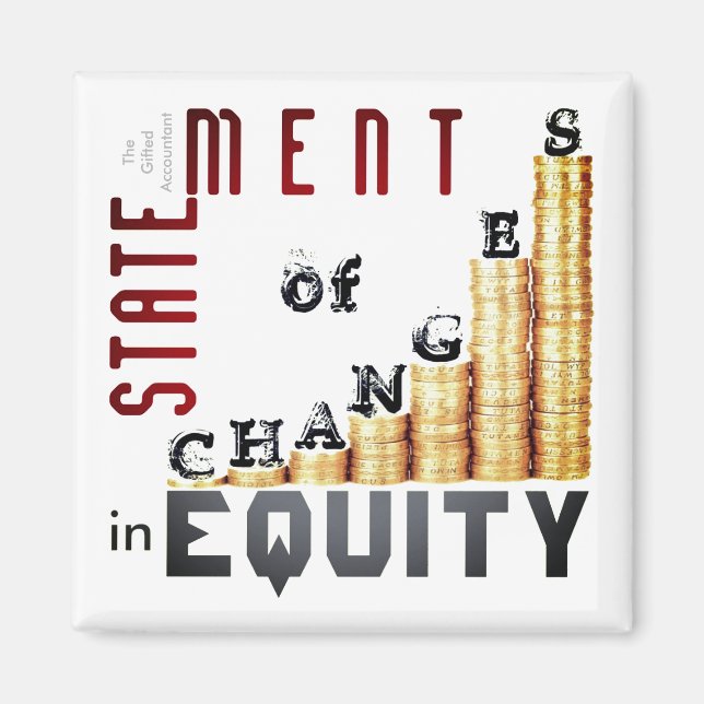 "Statement Of Changes In Equity" Magnet (Front)