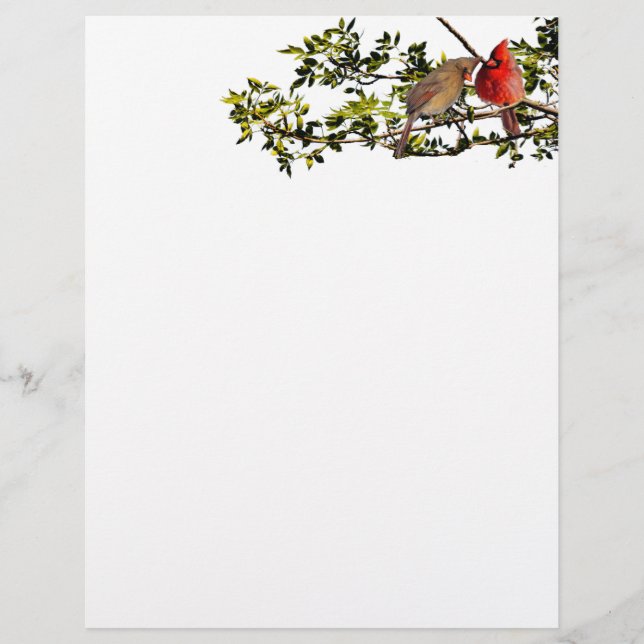 Stationary Cardinals Letterhead (Front)