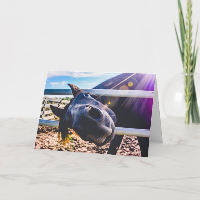 Stationary, Greeting Cards, Blank Notes, Horse Note Card (Front)