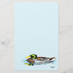 Stationery Duck in a Pond