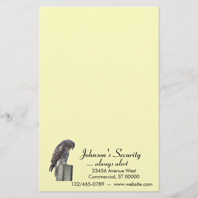 Stationery - Falcon (Front)