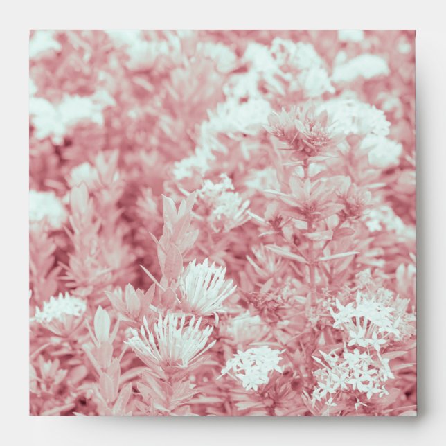 Stationery with Border Design Envelopes (Front)