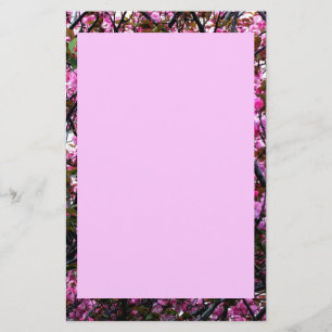 Stationery with Cherry Blossoms Photo