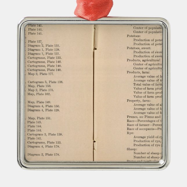 Statistical atlas 1900 8 metal ornament (Front)