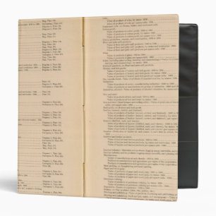 Statistical atlas 1900 9 binder