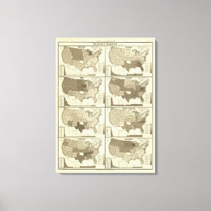 Statistical United States lithographed maps Canvas Print