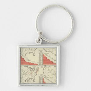 Statistics for special schools keychain