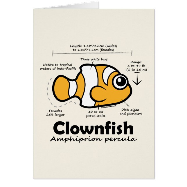 Statistiques de Clownfish (Devant)