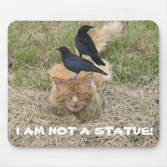 Statue Cat? Mouse Pad (Front)