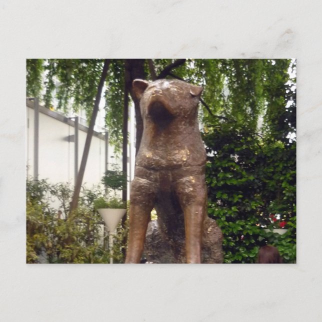 statue hachiko shibuya postcard (Front)