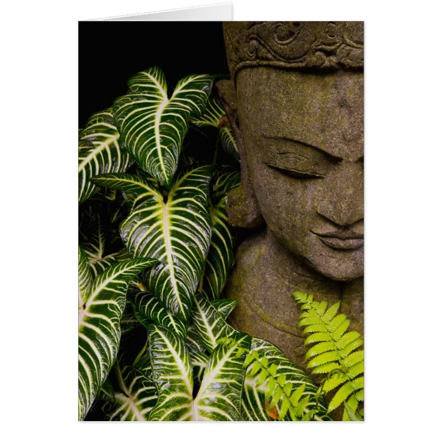 Statue in a Garden Location Information: Chiang Ma (Front)