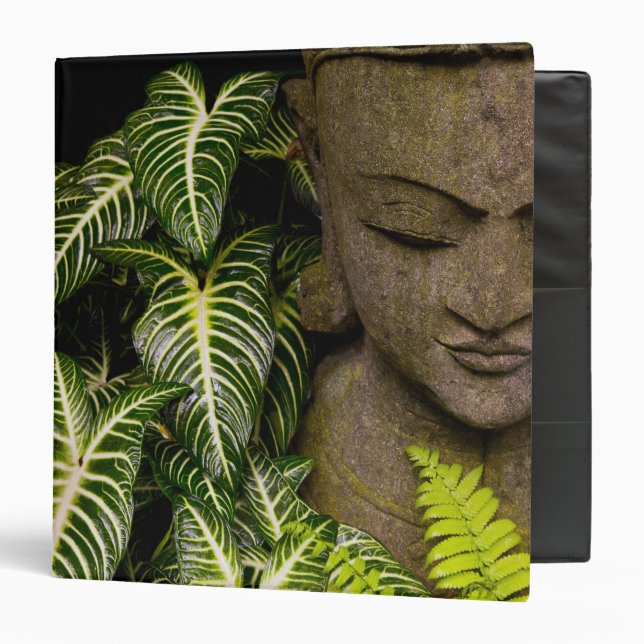 Statue in a Garden Location Information: Chiang Ma Binder (Front/Inside)