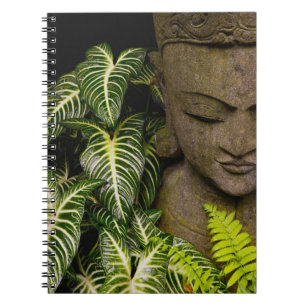 Statue in a Garden Location Information: Chiang Ma Notebook