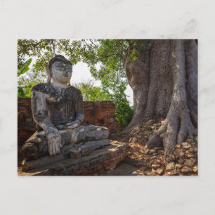 Statue in the temples of Ava in Myanmar postcard