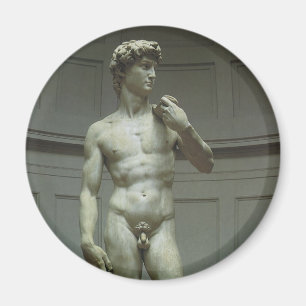 Statue of David by Michelangelo Magnet