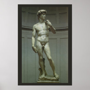Statue of David by Michelangelo Poster