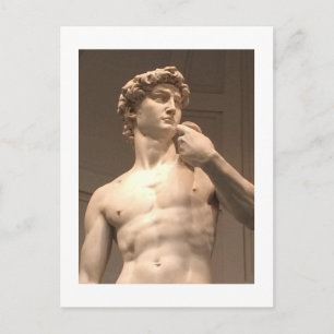 Statue of David Florence Postcard