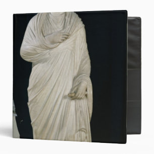 Statue of Julian the Apostate Binder
