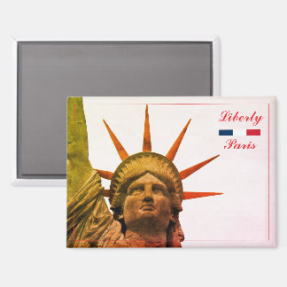 Statue of Liberty in Paris, France Magnet
