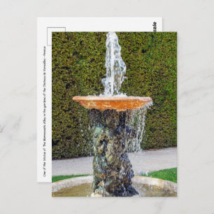 Statue of The Marmousets Alley in Versailles Postcard