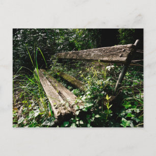 Stay a While Postcard