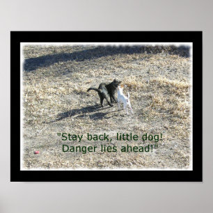 Stay Back Little Dog Poster