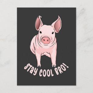 Stay Cool Bro Funny Pig Postcard