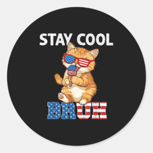 Stay Cool Cat Popsicle Lover American Flag 4th Of  Classic Round Sticker