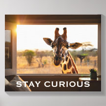 Stay Curious Giraffe Personalized Wall Art Gift
