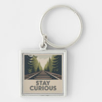 Stay Curious