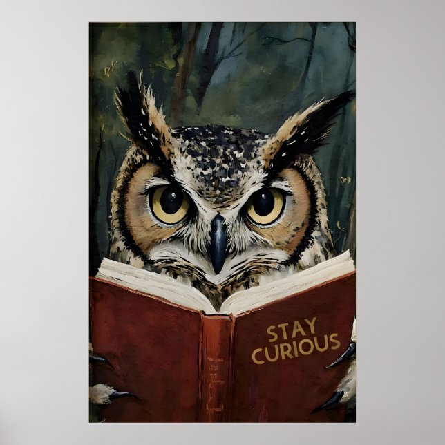 Stay Curious Owl Reading Art Print - Book Lovers (Front)