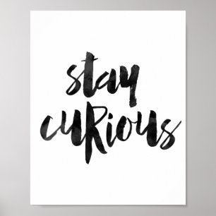 Stay Curious Poster
