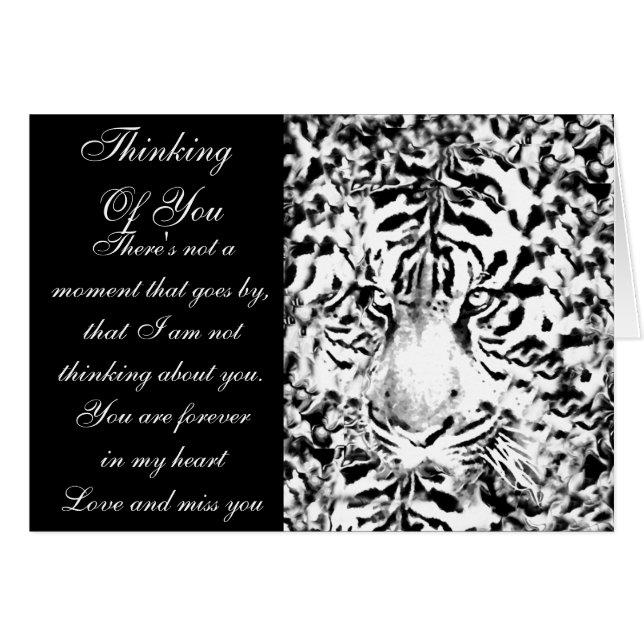 Stay Focused#5_ (Front Horizontal)