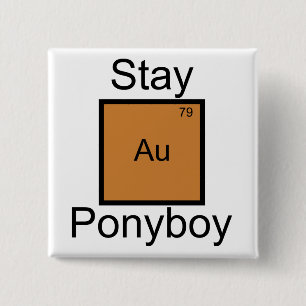 Stay Gold Ponyboy Element Pun 2 Inch Square Button