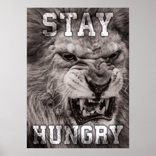 Stay Hungry, Lion, Hustle, Gym, Success Motivation Poster (Front)