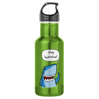 Stay hydrated 532 ml water bottle