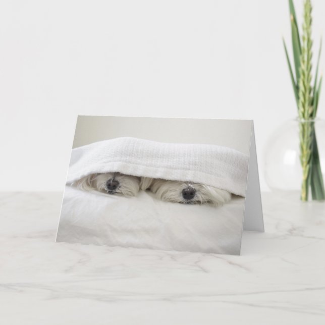 Stay in Bed Card (Front)