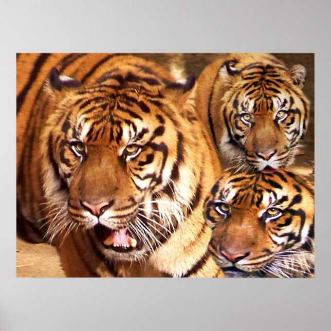 Stay Strong_ Poster (Front)