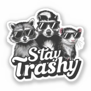 Stay Trashy Raccoon Opossum Sunglasses Art