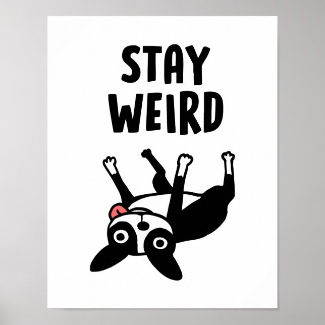 Stay Weird Boston Terrier Funny Dog Poster (Front)