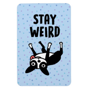 Stay Weird Funny Boston Terrier Dog Magnet