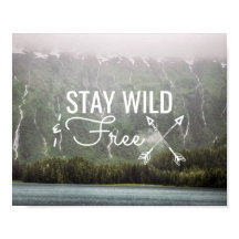 Stay Wild & Free - Cascades en Alaska | Poster