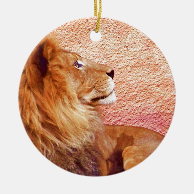 Staying Focused_ Ceramic Ornament (Front)